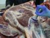 Порядок проведения ветеринарно-санитарной экспертизы продуктов животного происхождения на продовольственных рынках